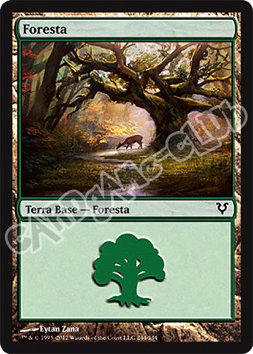 244 / 244 Foresta comune (IT) -NEAR MINT-