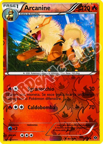 013 / 099 Arcanine non comune foil reverse (IT) -NEAR MINT-