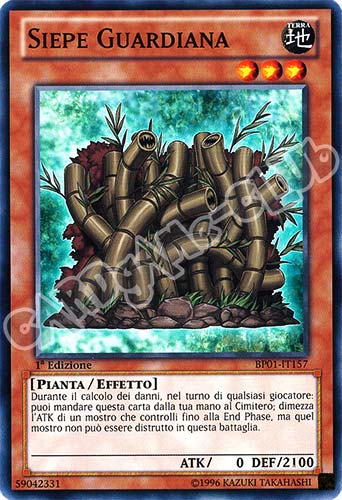 BP01-IT157 Siepe Guardiana comune 1a Edizione (IT) -NEAR MINT-