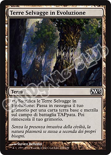 224 / 249 Terre Selvagge in Evoluzione comune (IT) -NEAR MINT-