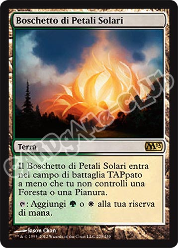 229 / 249 Boschetto di Petali Solari rara (IT) -NEAR MINT-