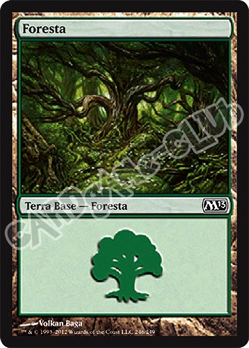 246 / 249 Foresta comune (IT) -NEAR MINT-