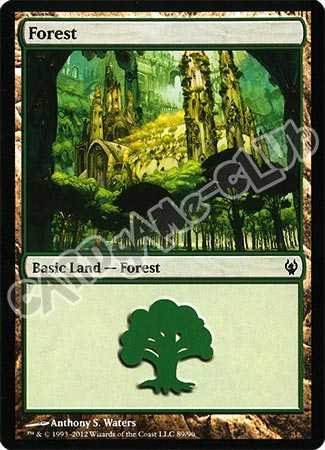 89 / 90 Forest comune (EN) -NEAR MINT-