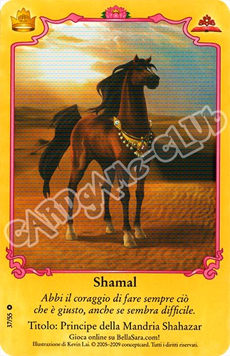 Royalty S37/55 Shamal extra rara foil (IT) -NEAR MINT-