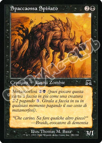 172 / 350 Spaccaossa Spinato comune (IT) -NEAR MINT-