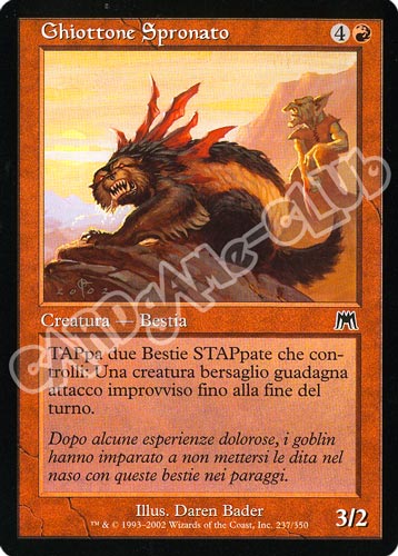 237 / 350 Ghiottone Spronato comune (IT) -NEAR MINT-