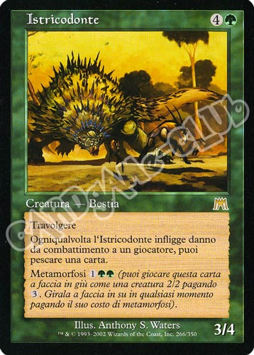 266 / 350 Istricodonte rara (IT) -NEAR MINT-