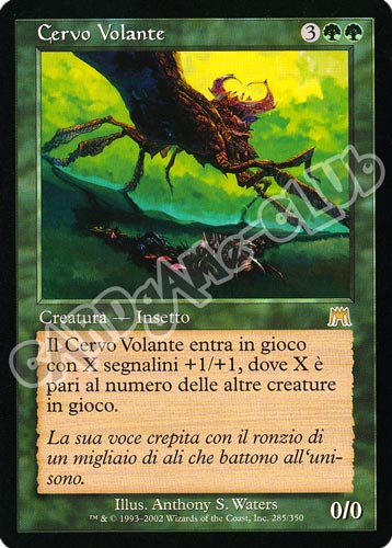 285 / 350 Cervo Volante rara (IT) -NEAR MINT-