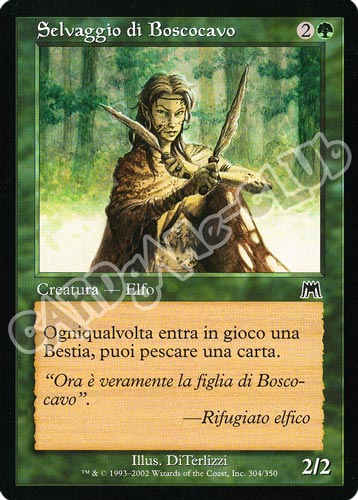 304 / 350 Selvaggio di Boscocavo comune (IT) -NEAR MINT-