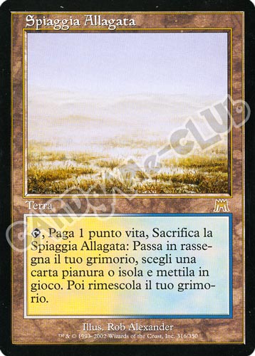 316 / 350 Spiaggia Allagata rara (IT) -NEAR MINT-
