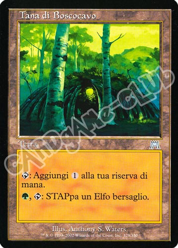 329 / 350 Tana di Boscocavo non comune (IT) -NEAR MINT-