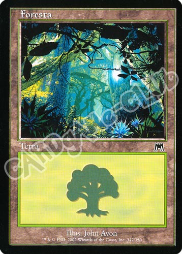 347 / 350 Foresta comune (IT) -NEAR MINT-