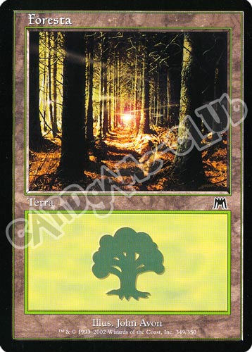 349 / 350 Foresta comune (IT) -NEAR MINT-