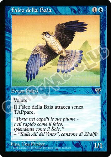 Falco della Baia comune (IT) -NEAR MINT-