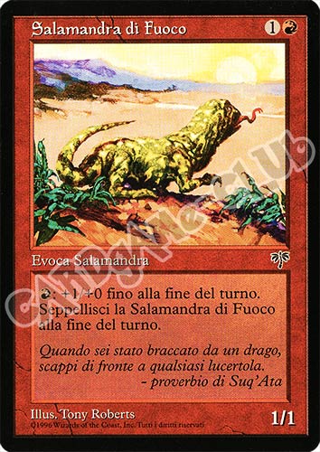 Salamandra di Fuoco comune (IT) -NEAR MINT-