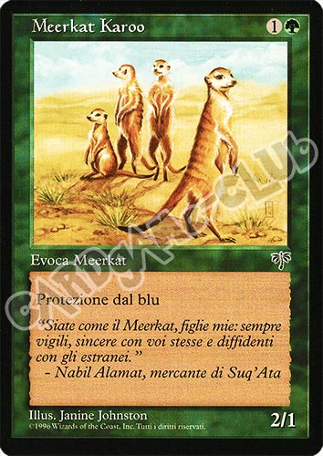 Meerkat Karo non comune (IT) -NEAR MINT-