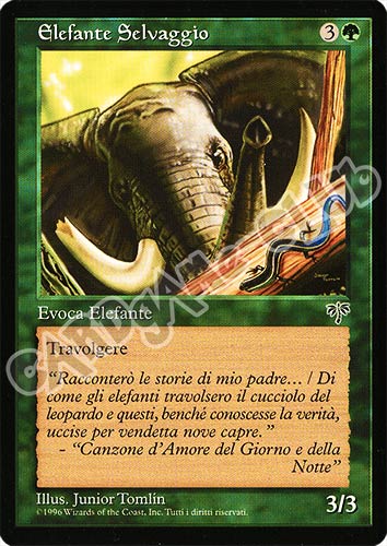 Elefante Selvaggio comune (IT) -NEAR MINT-
