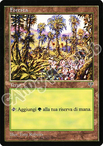 Foresta comune (IT) -NEAR MINT-