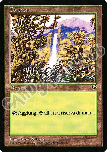 Foresta comune (IT) -NEAR MINT-