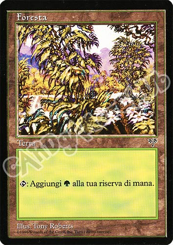 Foresta comune (IT) -NEAR MINT-