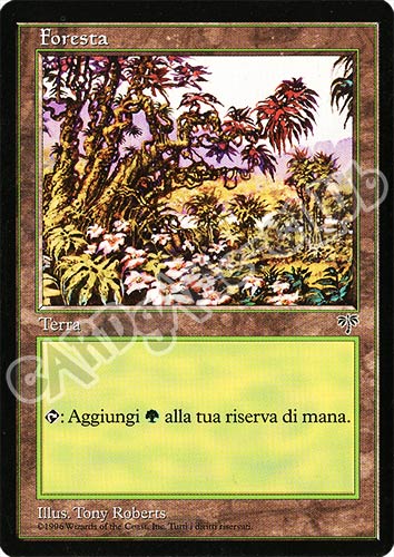 Foresta comune (IT) -NEAR MINT-
