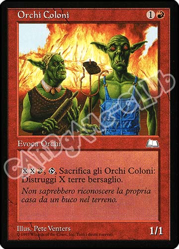 Orchi Coloni non comune (IT) -NEAR MINT-