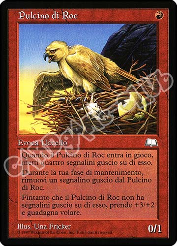 Pulcino di Roc non comune (IT) -NEAR MINT-