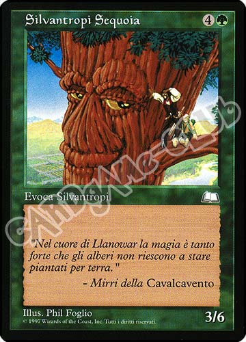 Silvantropi Sequoia comune (IT) -NEAR MINT-