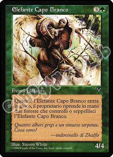 Elefante Capo Branco comune (IT) -NEAR MINT-