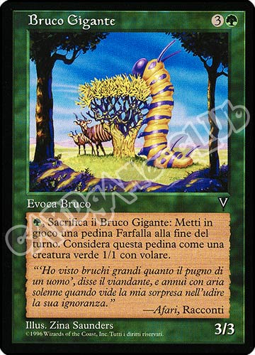 Bruco Gigante comune (IT) -NEAR MINT-