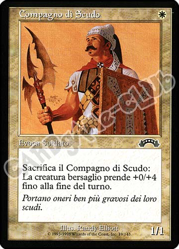 019 / 143 Compagno di Scudo comune (IT) -NEAR MINT-