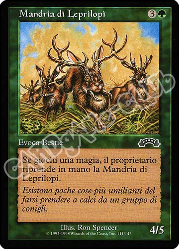 111 / 143 Mandria di Leprilopi comune (IT) -NEAR MINT-