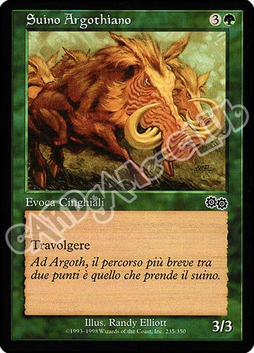 235 / 350 Suino Argothiano comune (IT) -NEAR MINT-