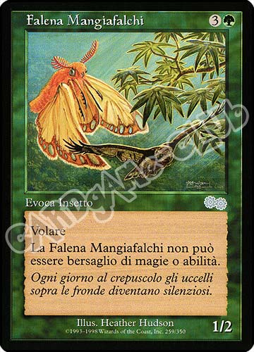 259 / 350 Falena Mangiafalchi non comune (IT) -GOOD-