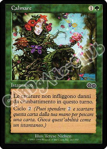 267 / 350 Calmare comune (IT) -NEAR MINT-