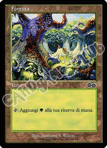 348 / 350 Foresta comune (IT) -NEAR MINT-