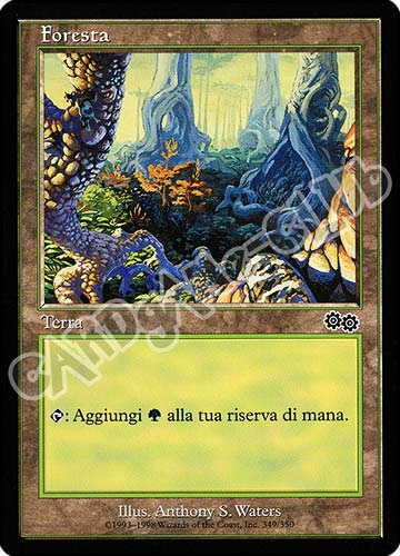 349 / 350 Foresta comune (IT) -NEAR MINT-