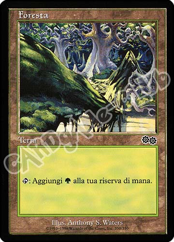 350 / 350 Foresta comune (IT) -NEAR MINT-