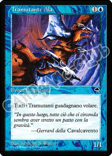 Tramutante Ala comune (IT) -NEAR MINT-