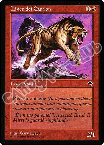 Lince dei Canyon comune (IT) -NEAR MINT-