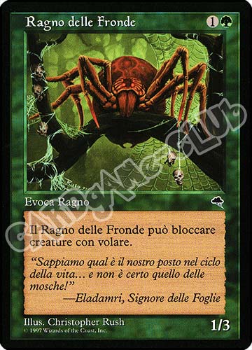 Ragno delle Fronde comune (IT) -NEAR MINT-