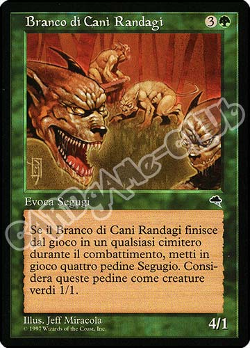 Branco di Cani Randaggi rara (IT) -NEAR MINT-