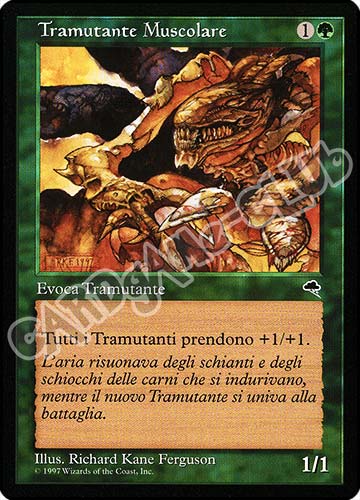 Tramutante Muscolare comune (IT) -NEAR MINT-