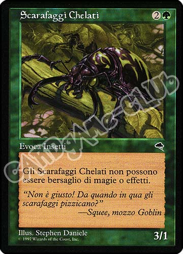 Scarafaggi Chelati comune (IT) -NEAR MINT-