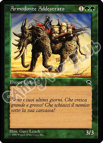 Armodonte Addestrato comune (IT) -NEAR MINT-