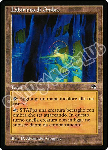 Labirinto delle Ombre non comune (IT) -NEAR MINT-