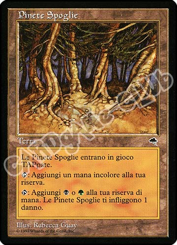 Pinete Spoglie rara (IT) -NEAR MINT-