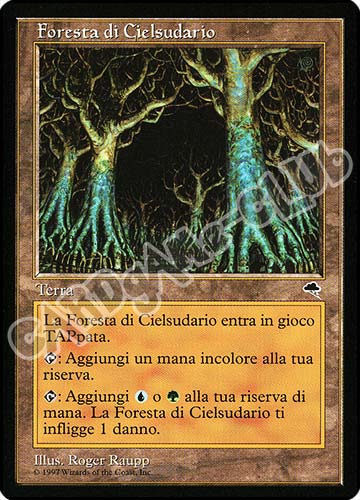 Foresta di Cielsudario rara (IT) -NEAR MINT-
