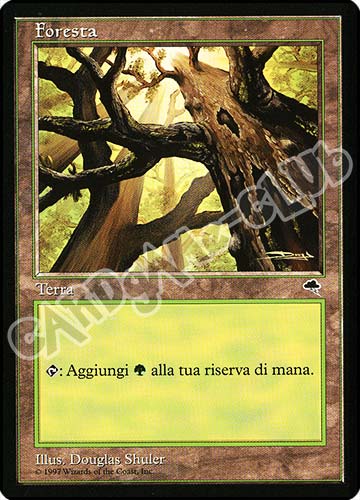 Foresta comune (IT) -NEAR MINT-
