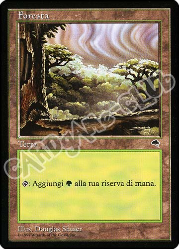 Foresta comune (IT) -NEAR MINT-